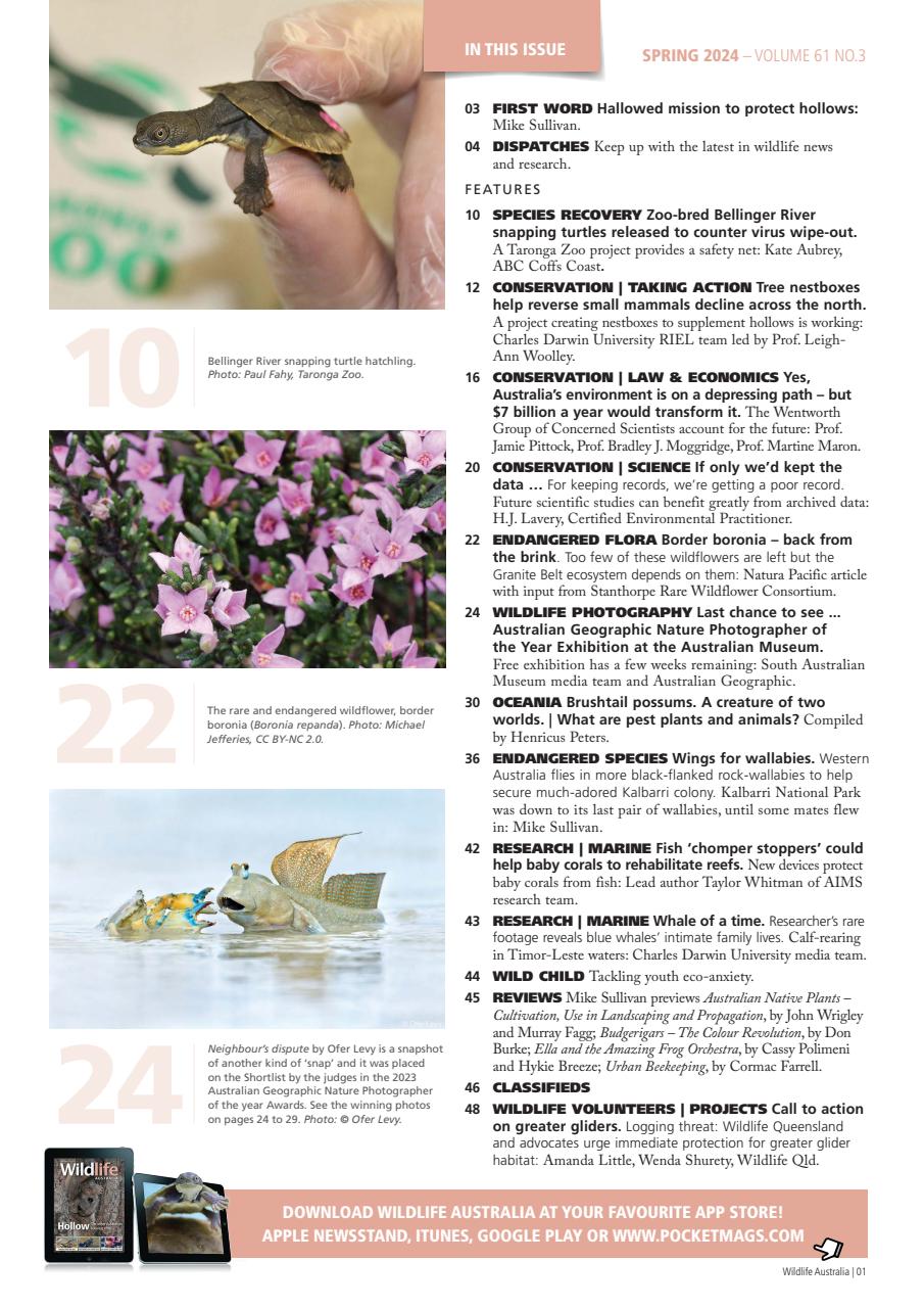 Wildlife Australia Preview Pages