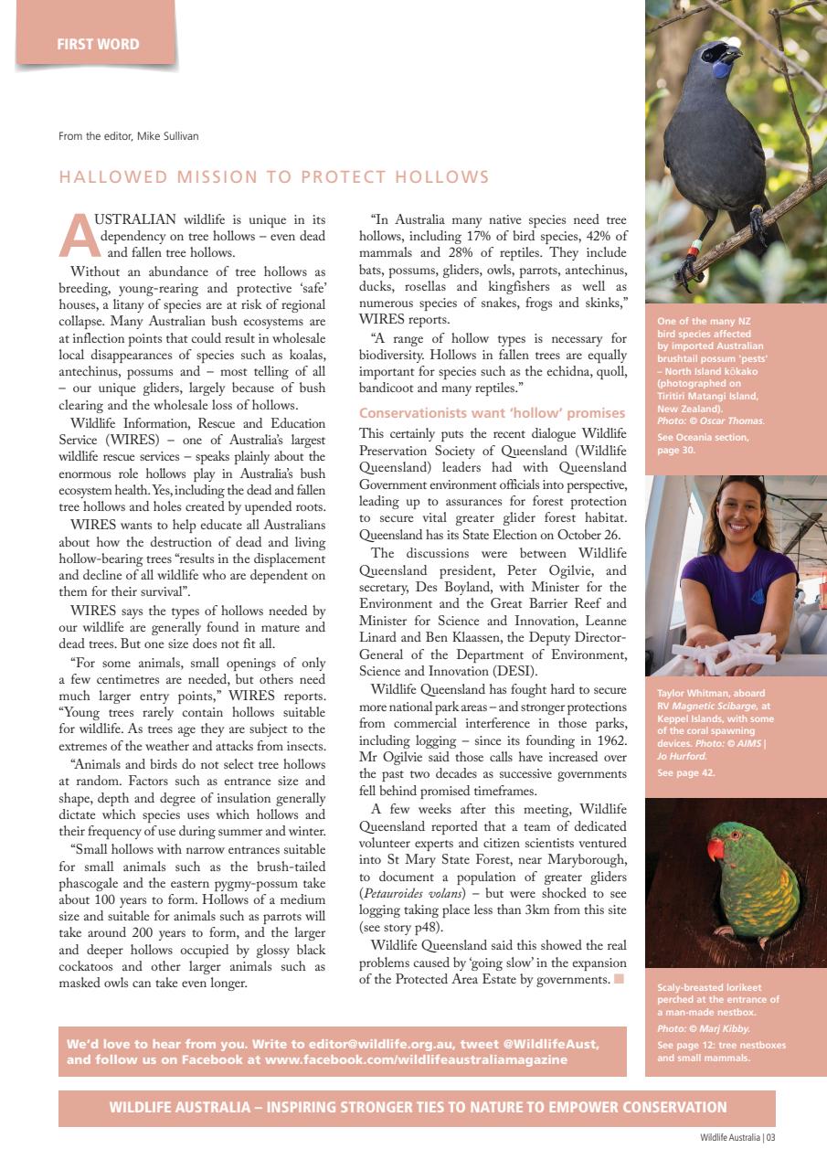 Wildlife Australia Preview Pages