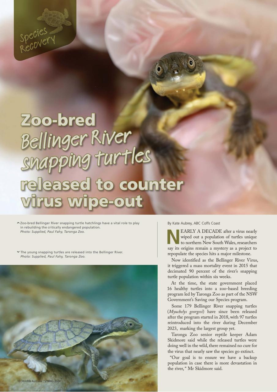 Wildlife Australia Preview Pages