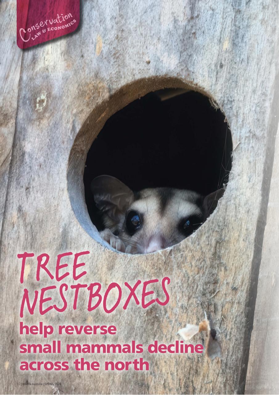 Wildlife Australia Preview Pages