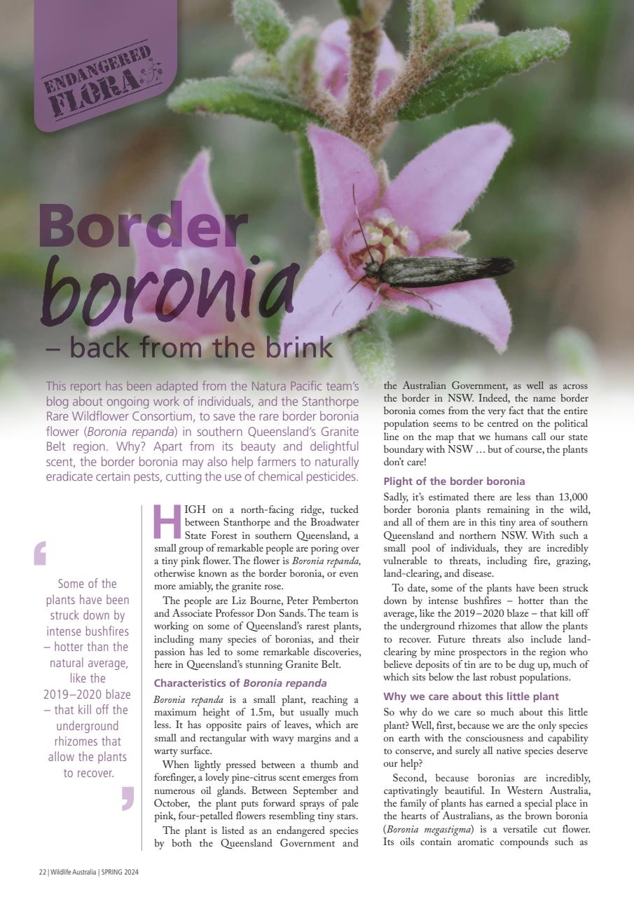 Wildlife Australia Preview Pages