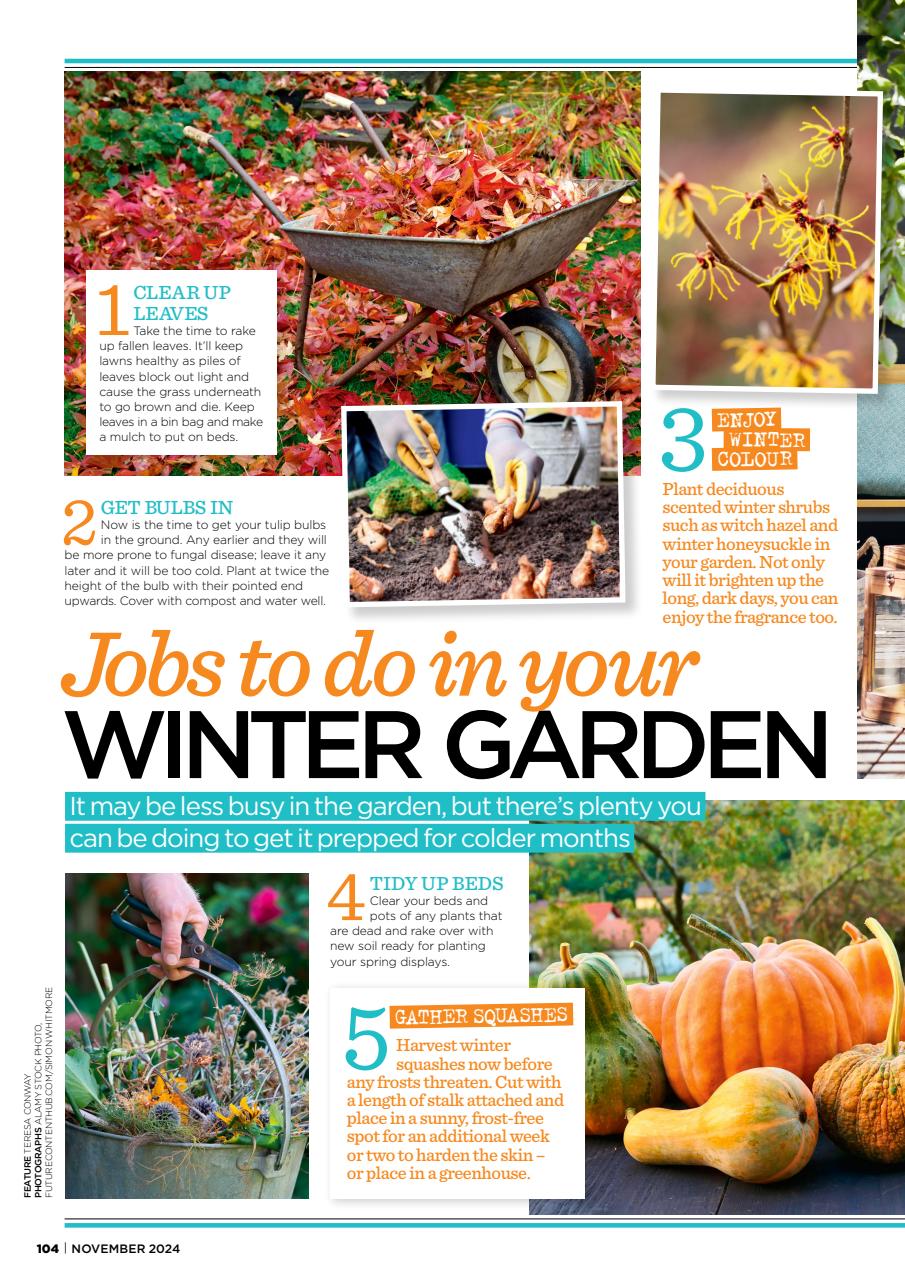 Style at Home Preview Pages