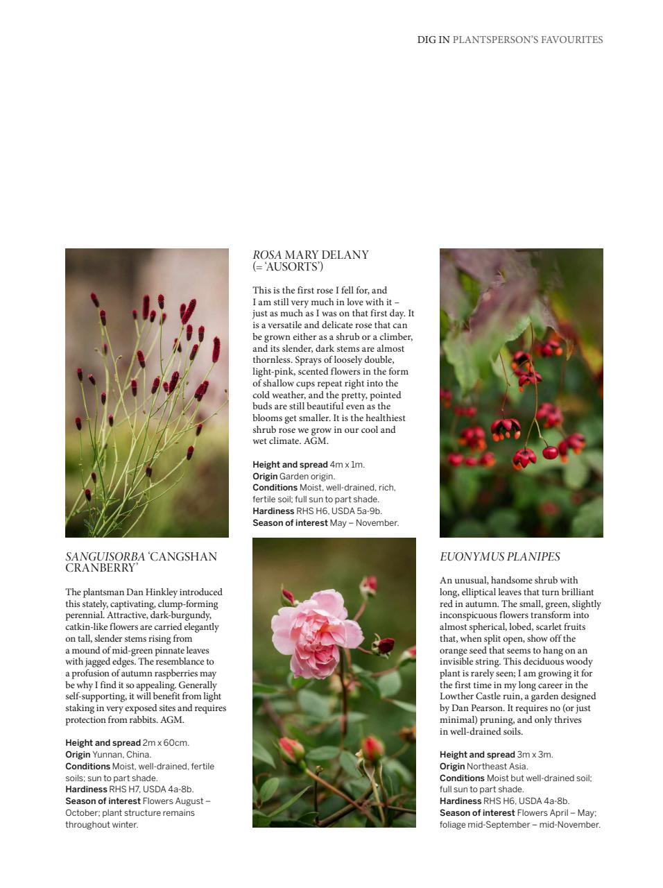 Gardens Illustrated Preview Pages