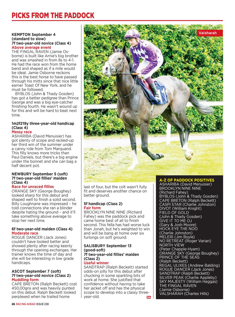 Racing Ahead Preview Pages