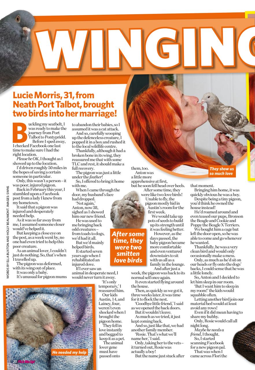 Pick Me Up Preview Pages