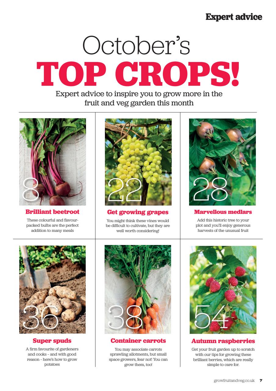 Grow Your Own Preview Pages