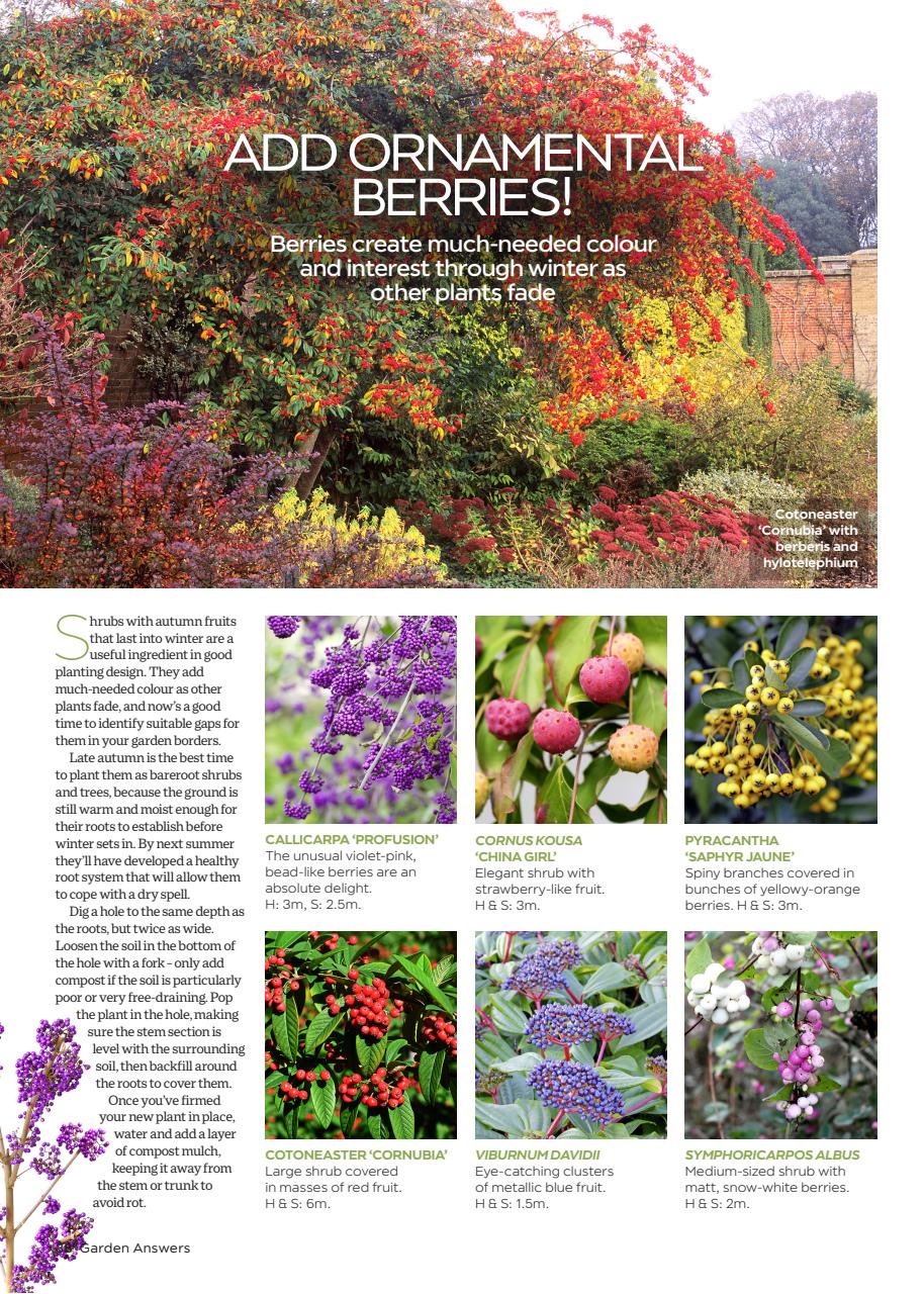 Garden Answers Preview Pages