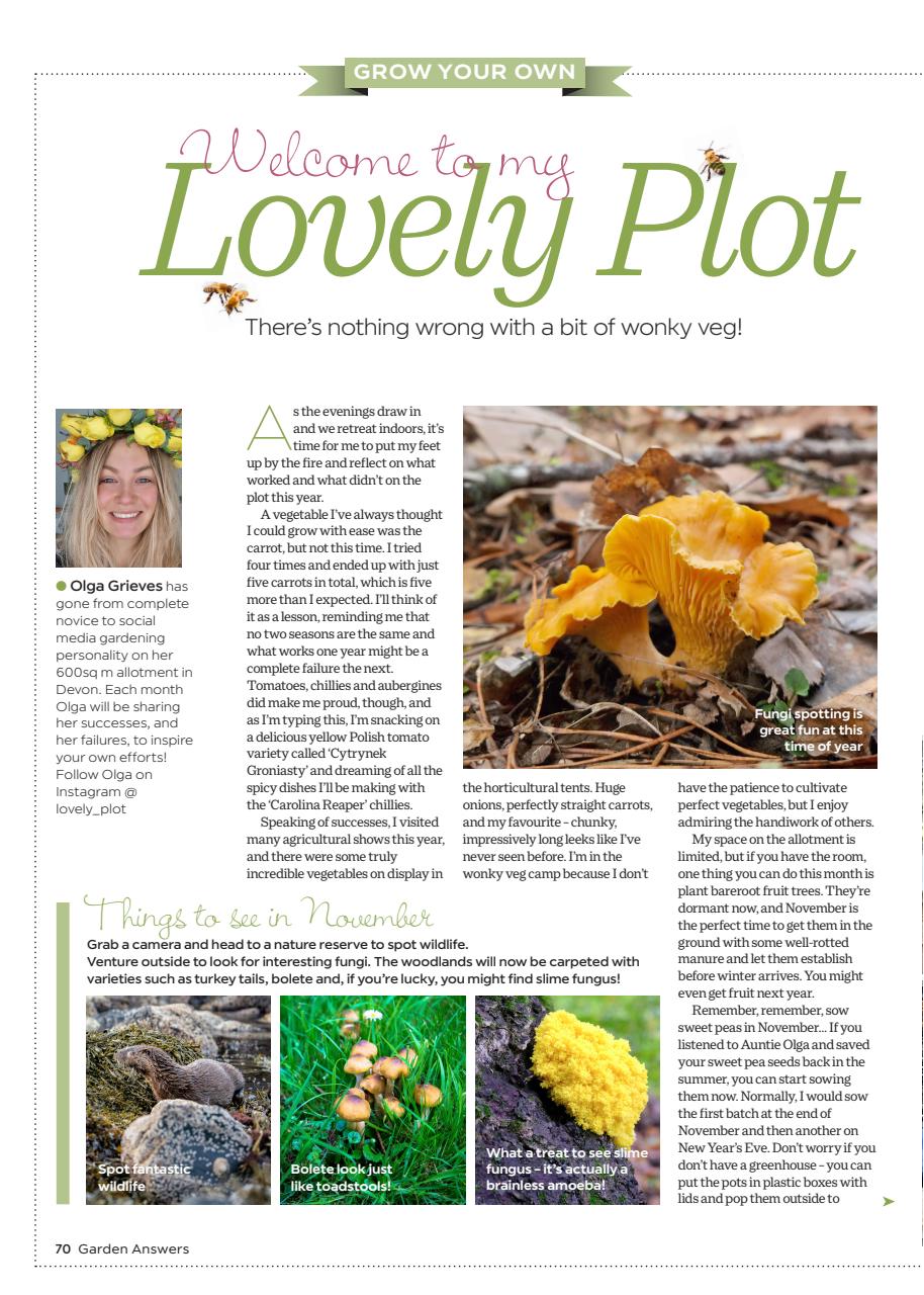 Garden Answers Preview Pages