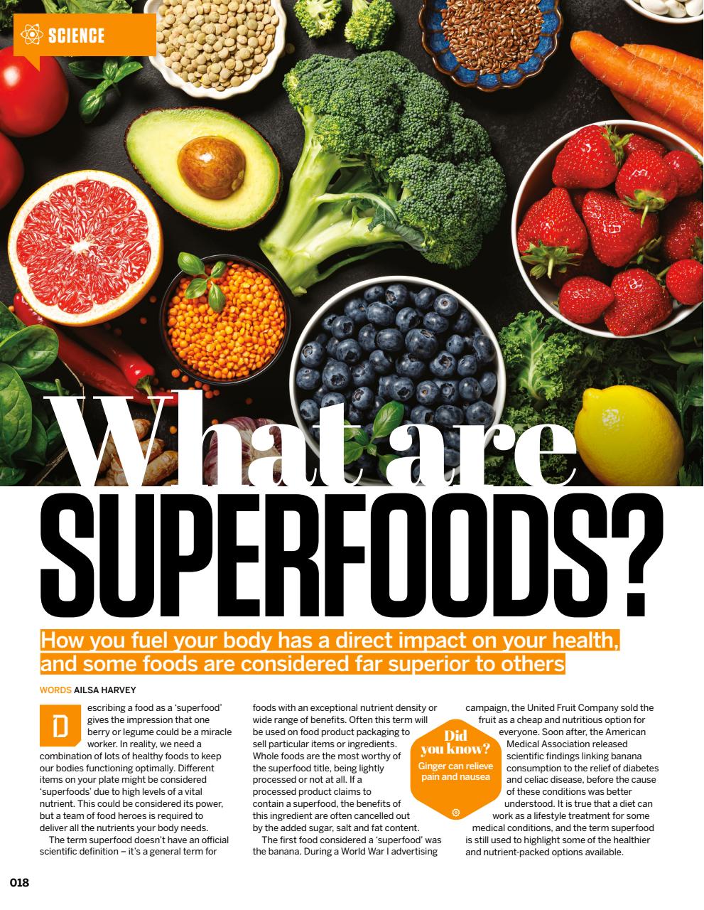 How It Works Bookazine Preview Pages