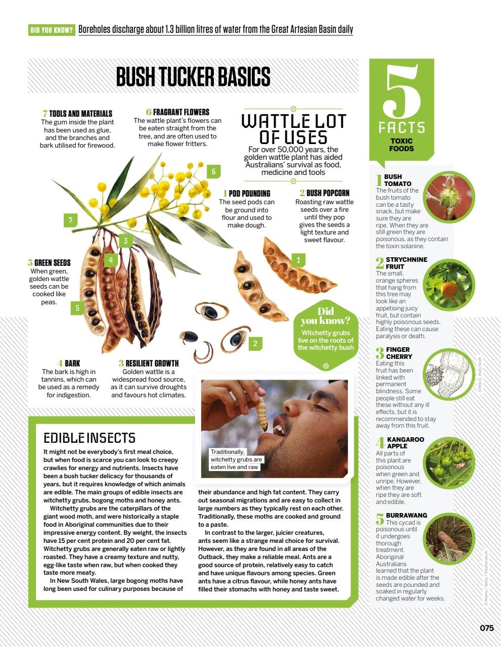 How It Works Bookazine Preview Pages