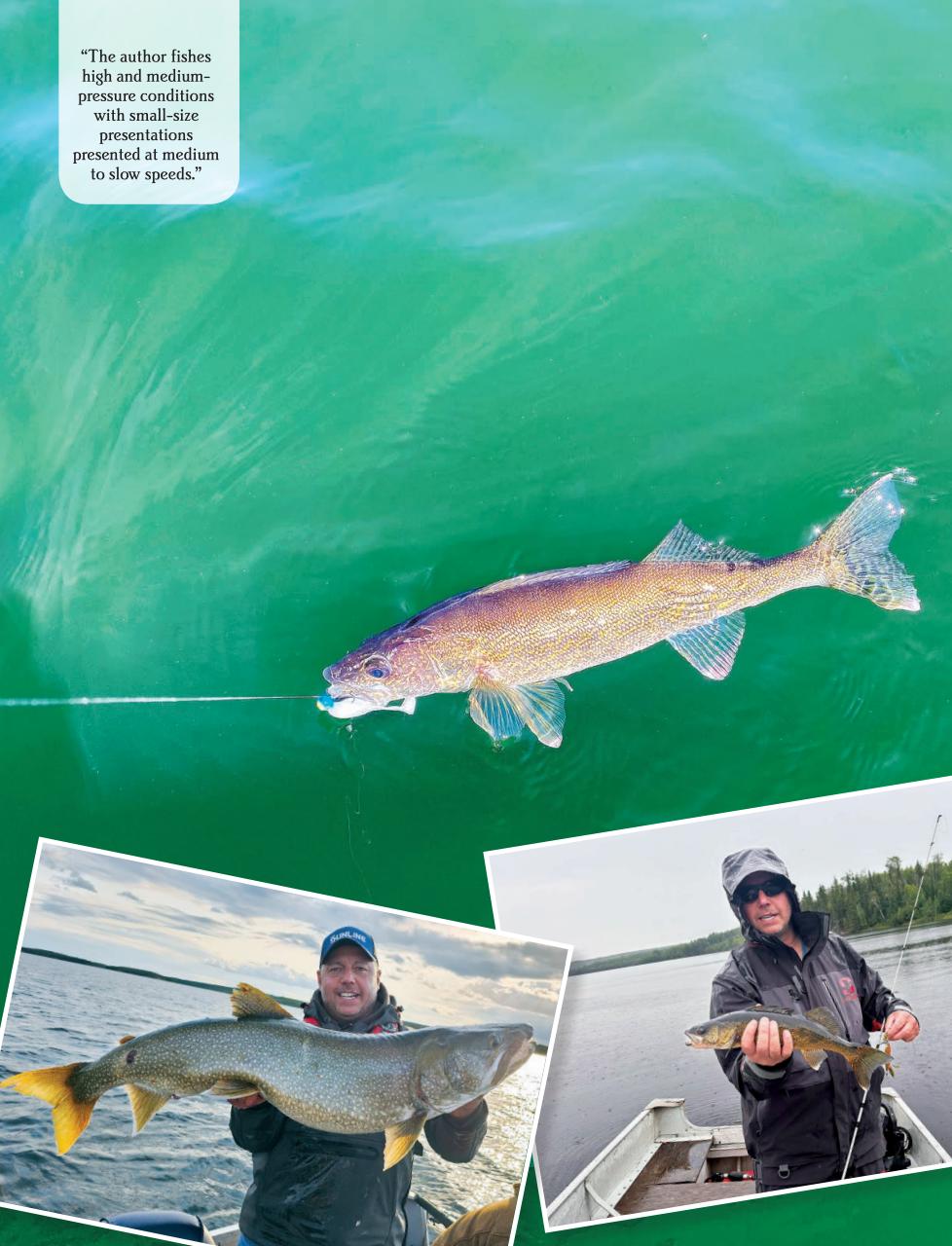 Alberta Outdoors Preview Pages