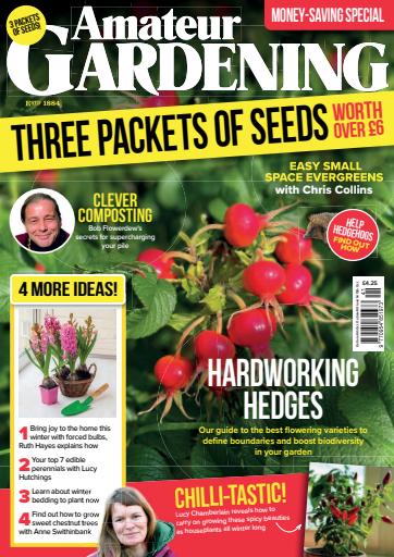 Amateur Gardening issue 