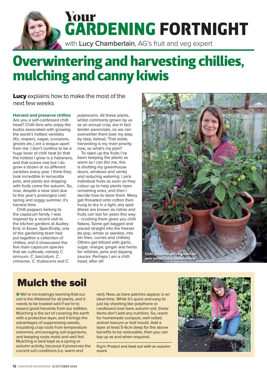 Amateur Gardening Preview Pages