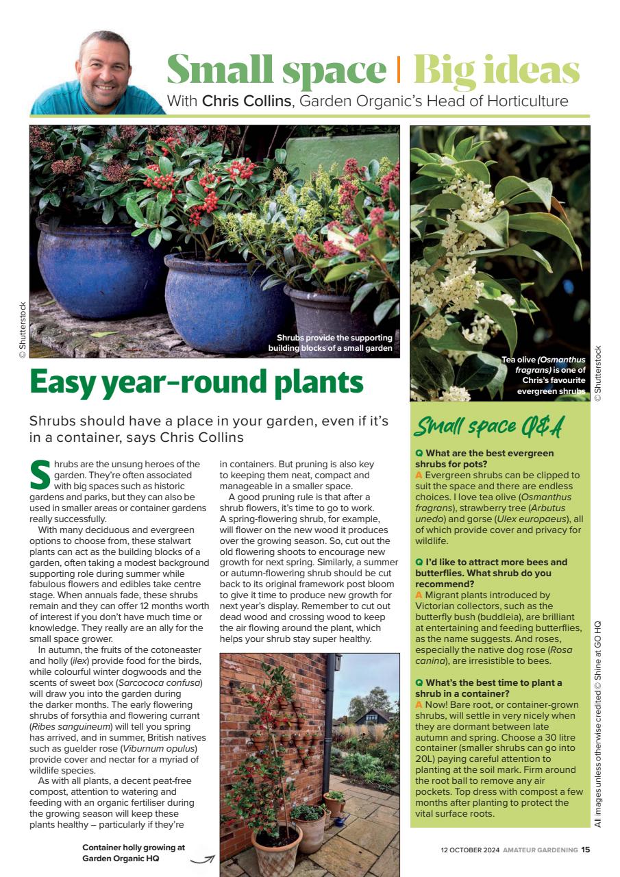 Amateur Gardening Preview Pages