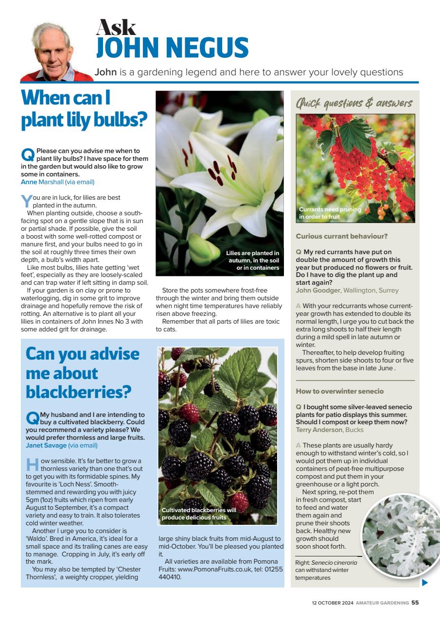 Amateur Gardening Preview Pages