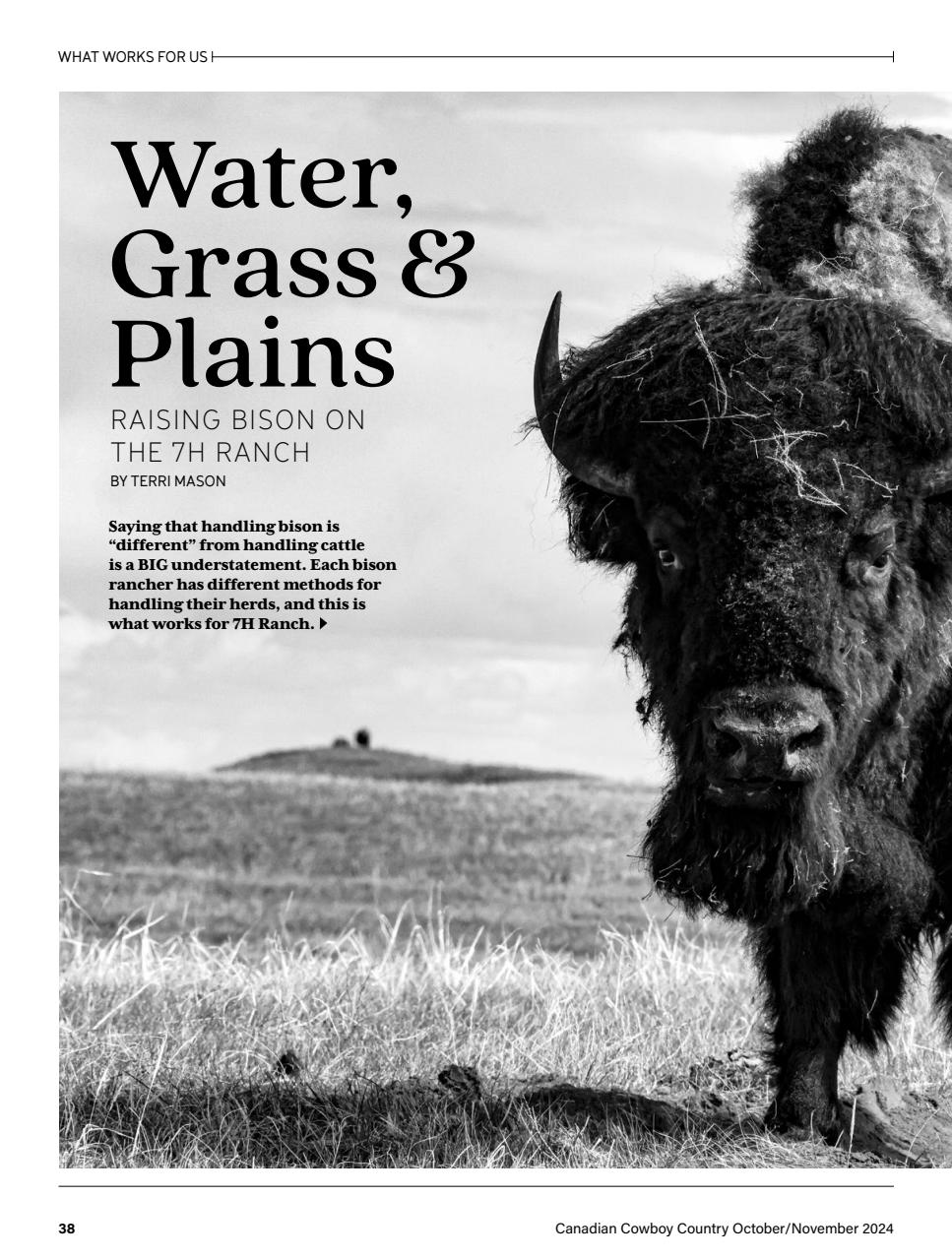 Canadian Cowboy Country Preview Pages