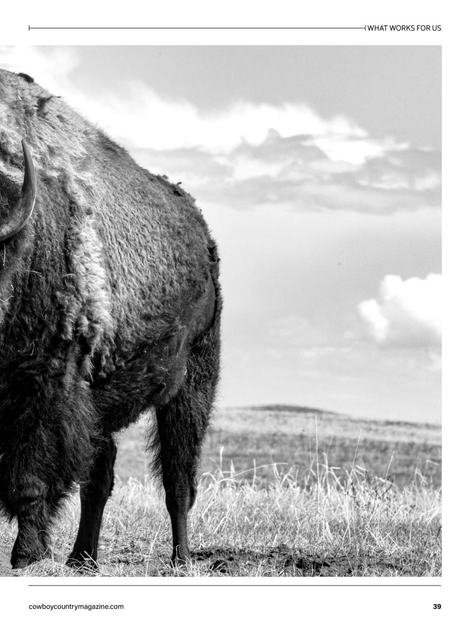 Canadian Cowboy Country Preview Pages