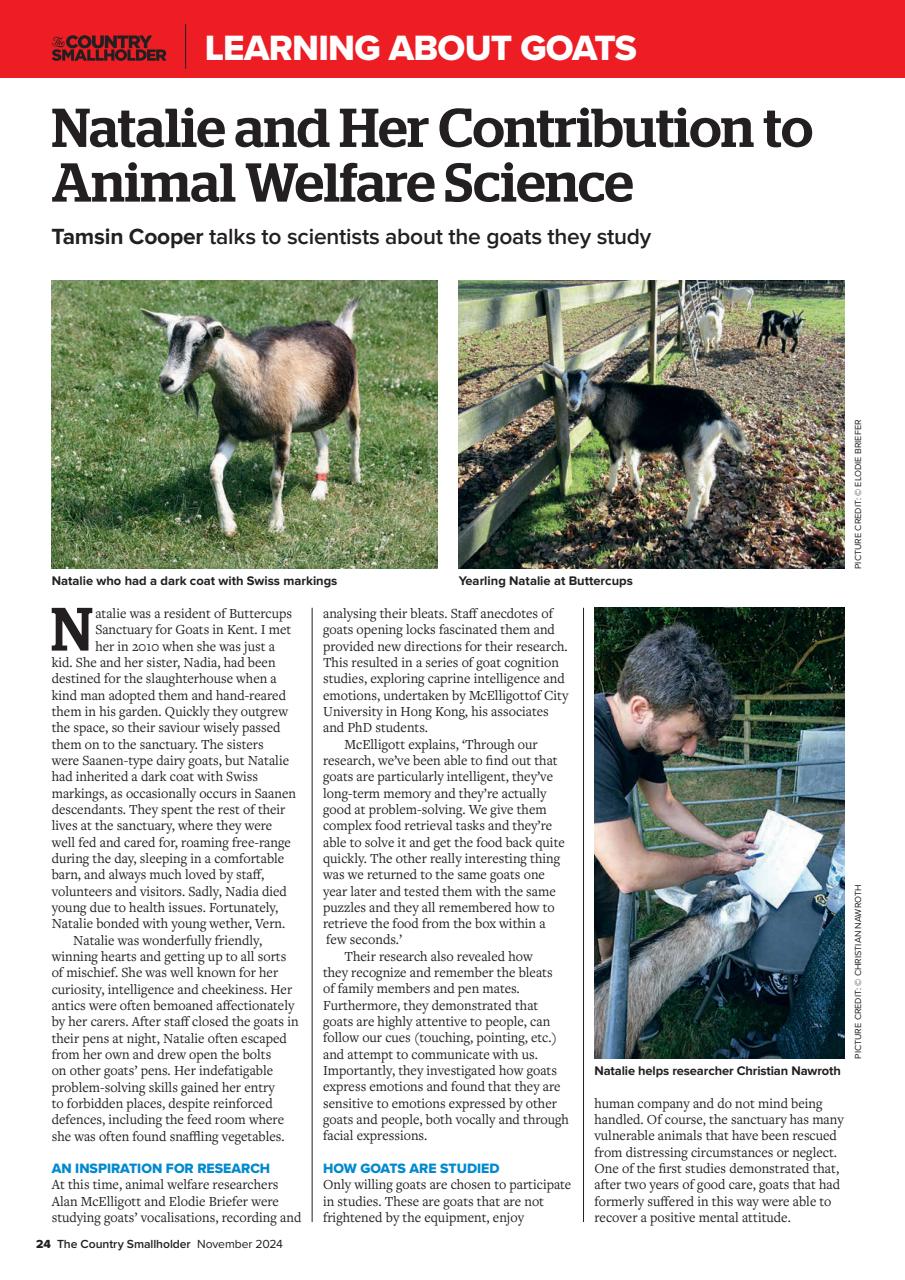 The Country Smallholder Preview Pages