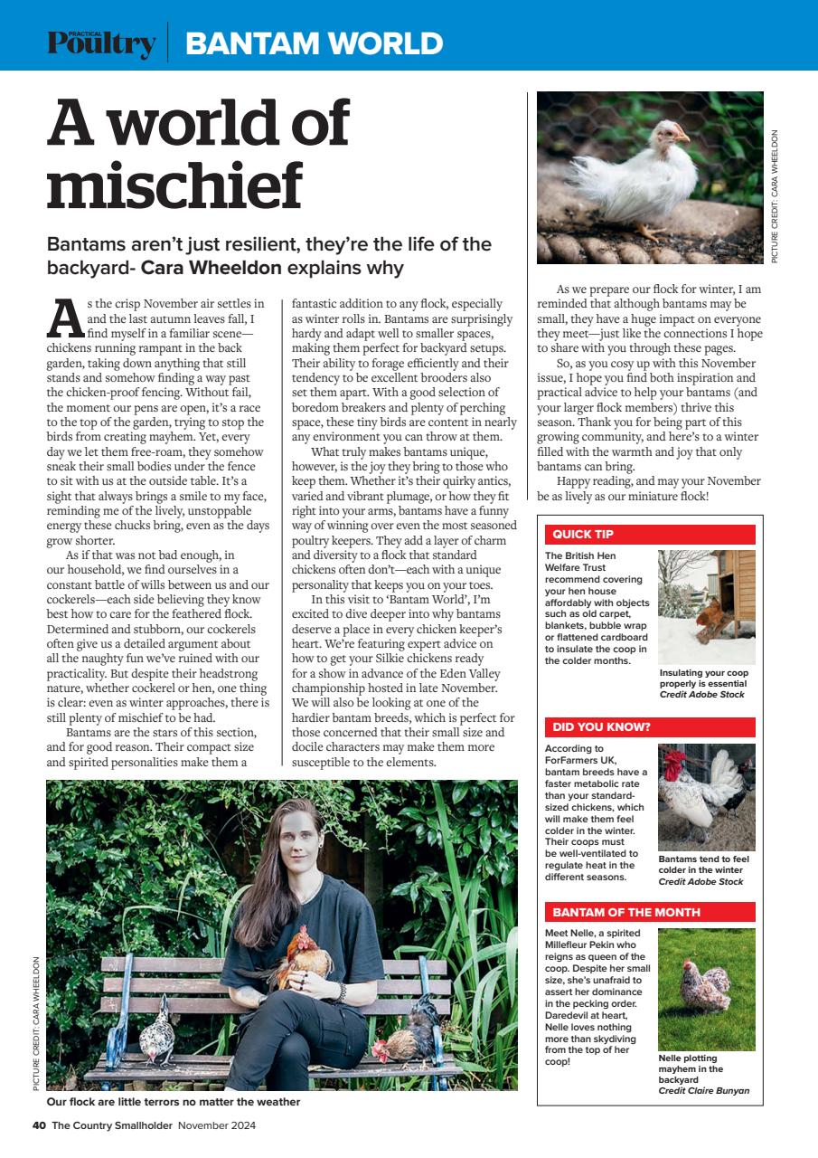 The Country Smallholder Preview Pages