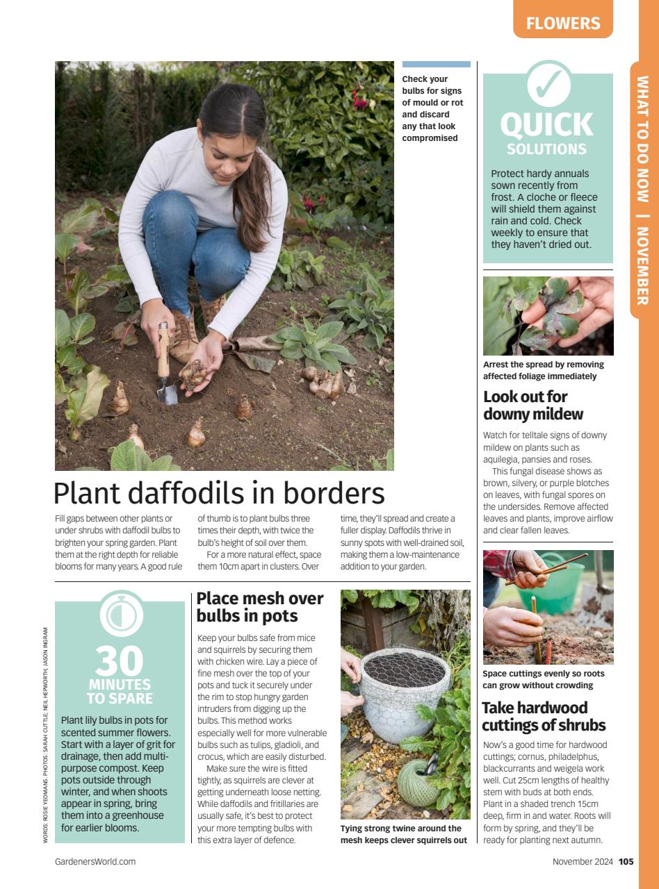 BBC Gardeners’ World Magazine Preview Pages