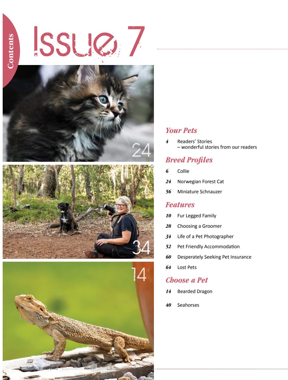 Dogs and Pets Preview Pages