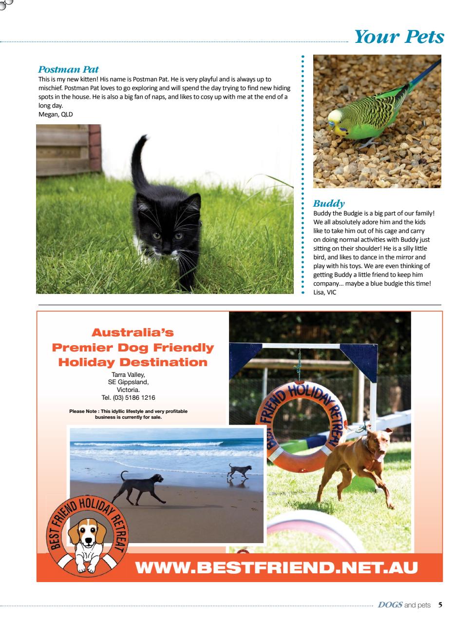 Dogs and Pets Preview Pages