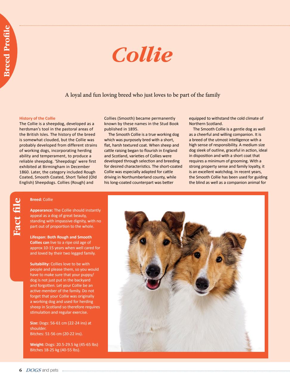 Dogs and Pets Preview Pages