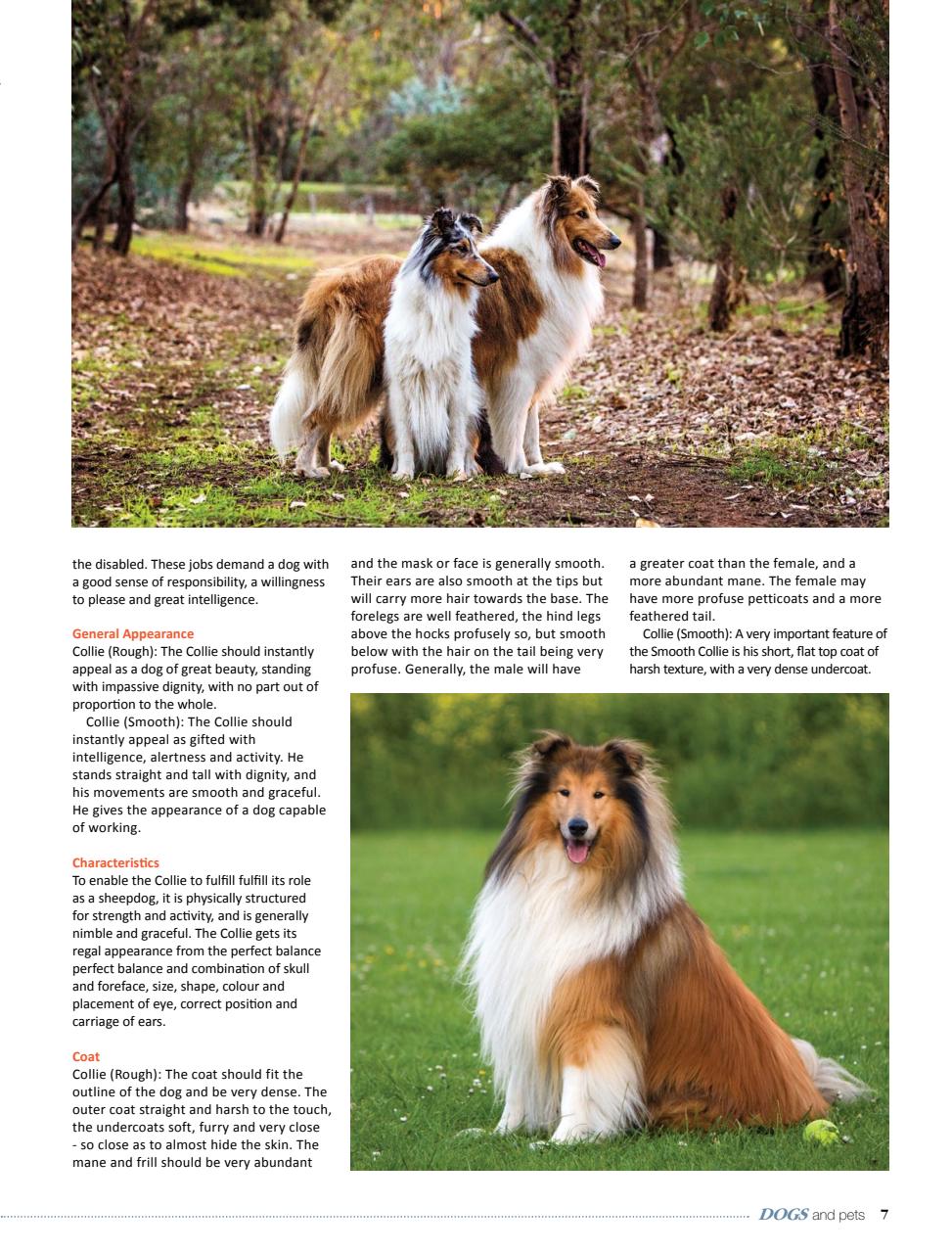 Dogs and Pets Preview Pages