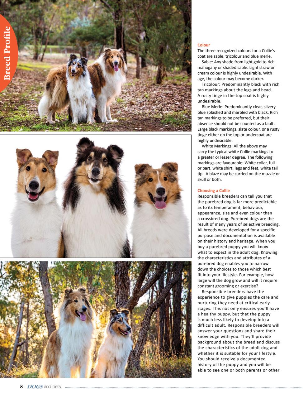 Dogs and Pets Preview Pages