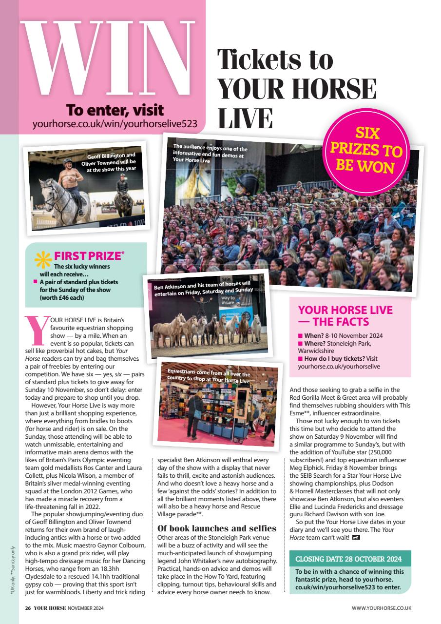 Your Horse Preview Pages