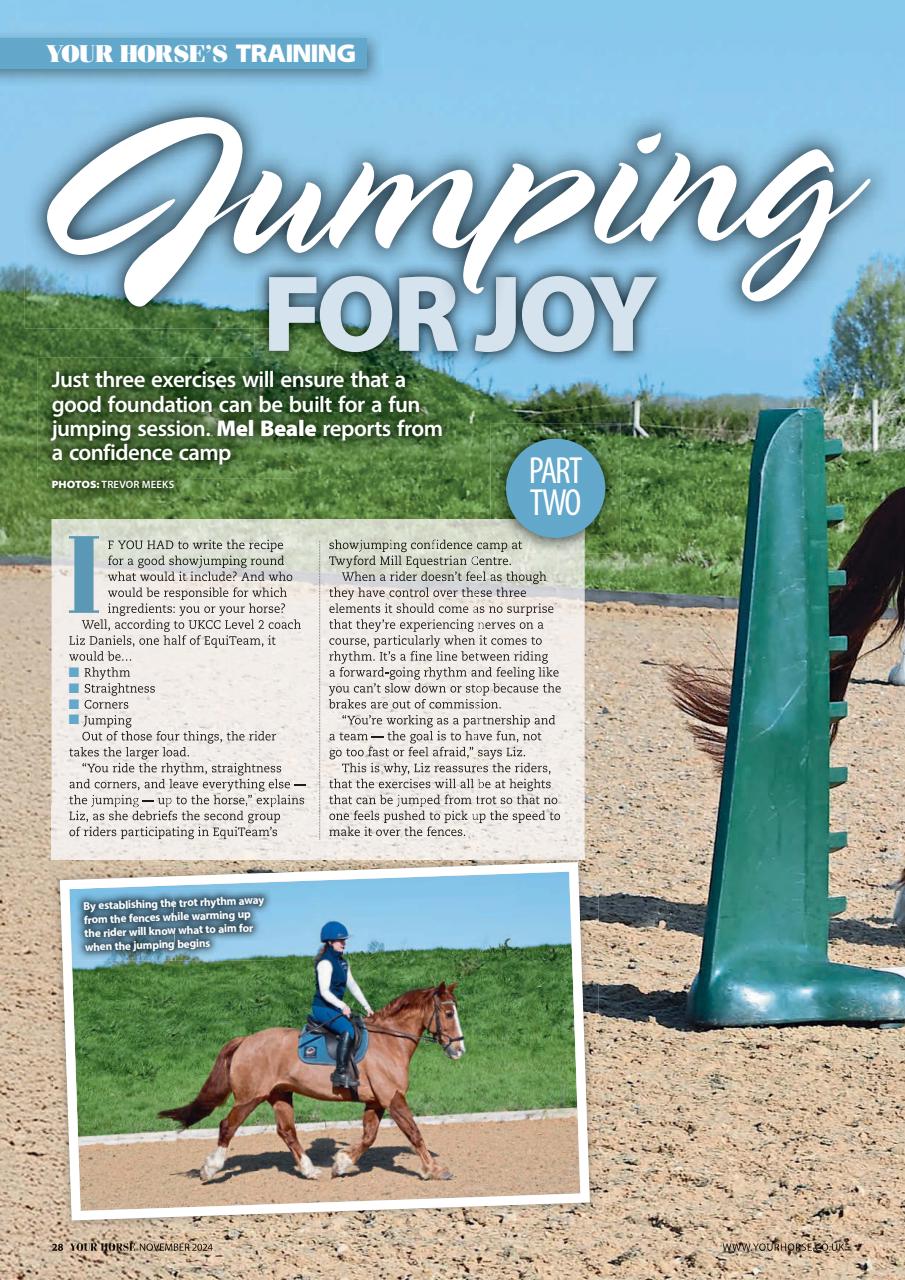 Your Horse Preview Pages