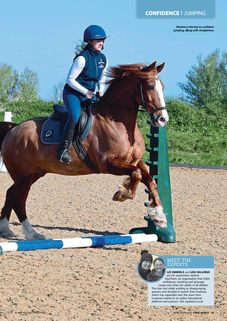 Your Horse Preview Pages