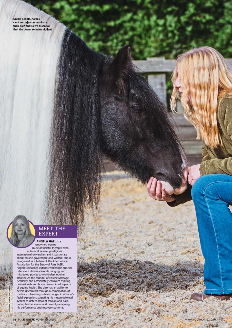 Your Horse Preview Pages