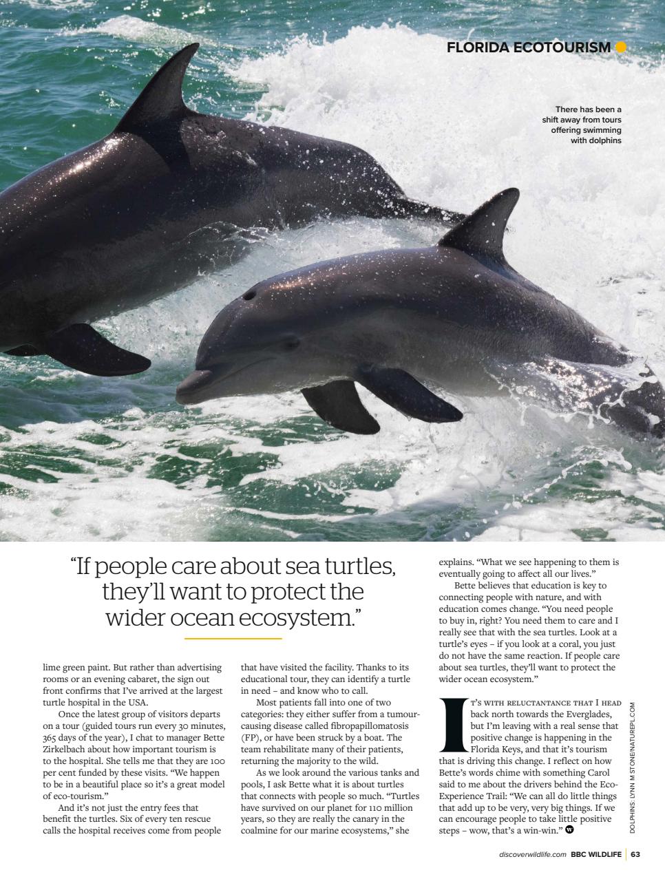 BBC Wildlife Magazine Preview Pages