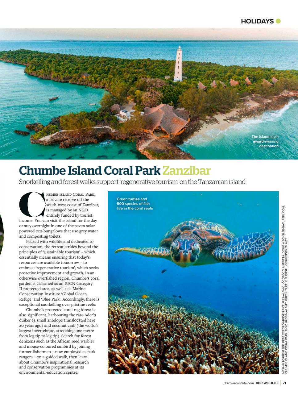 BBC Wildlife Magazine Preview Pages