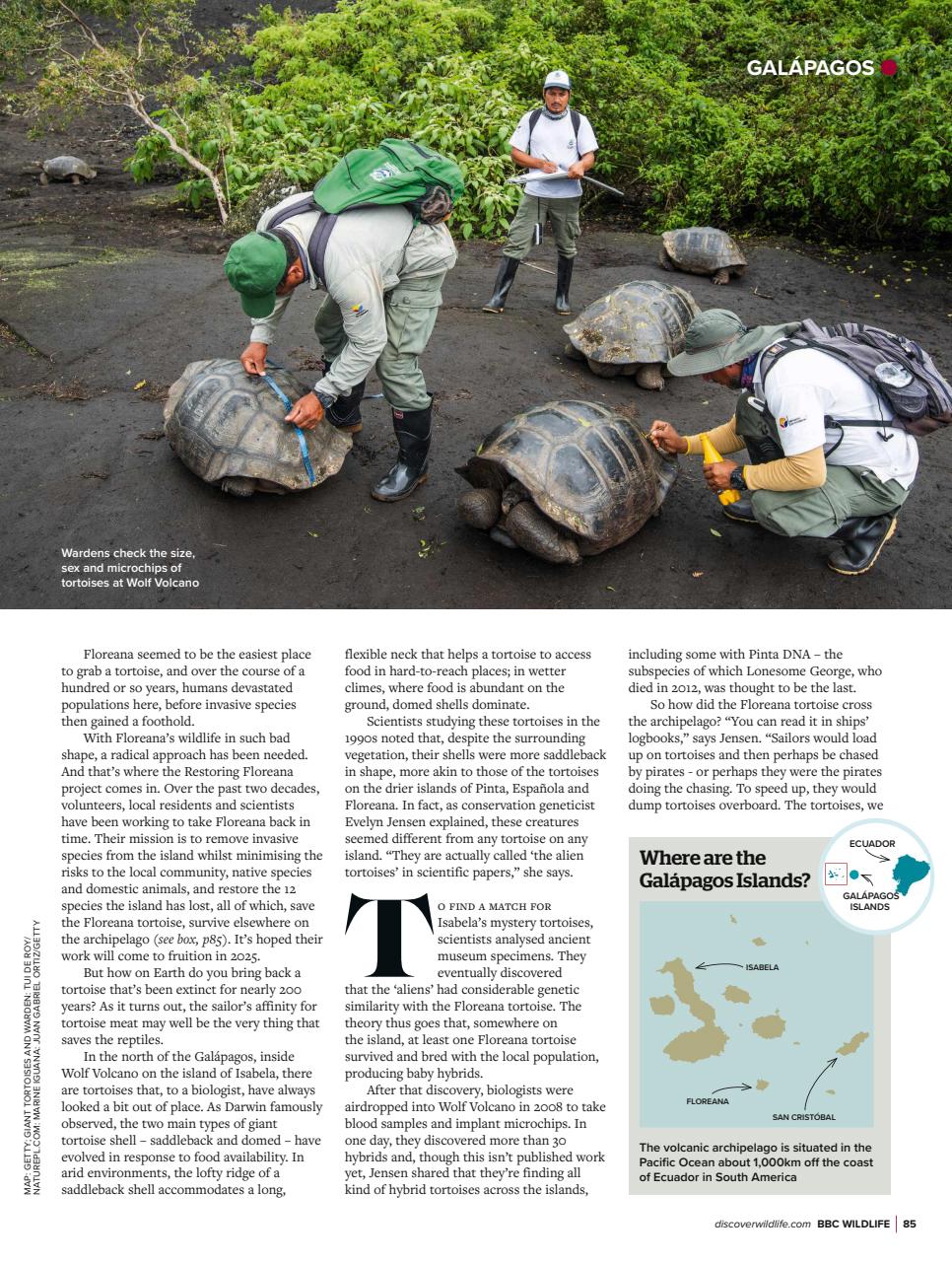 BBC Wildlife Magazine Preview Pages