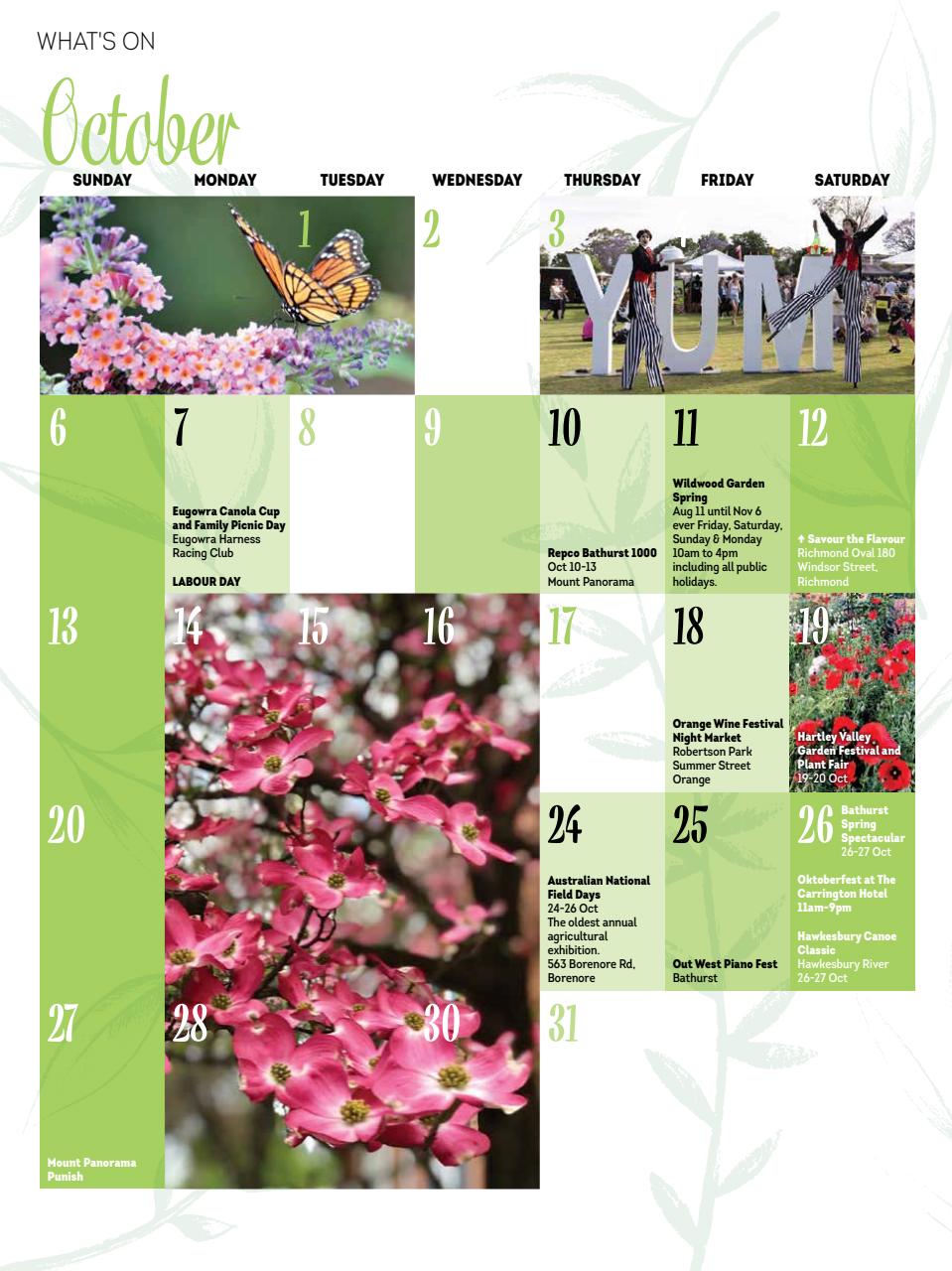 Blue Mountains Life Preview Pages