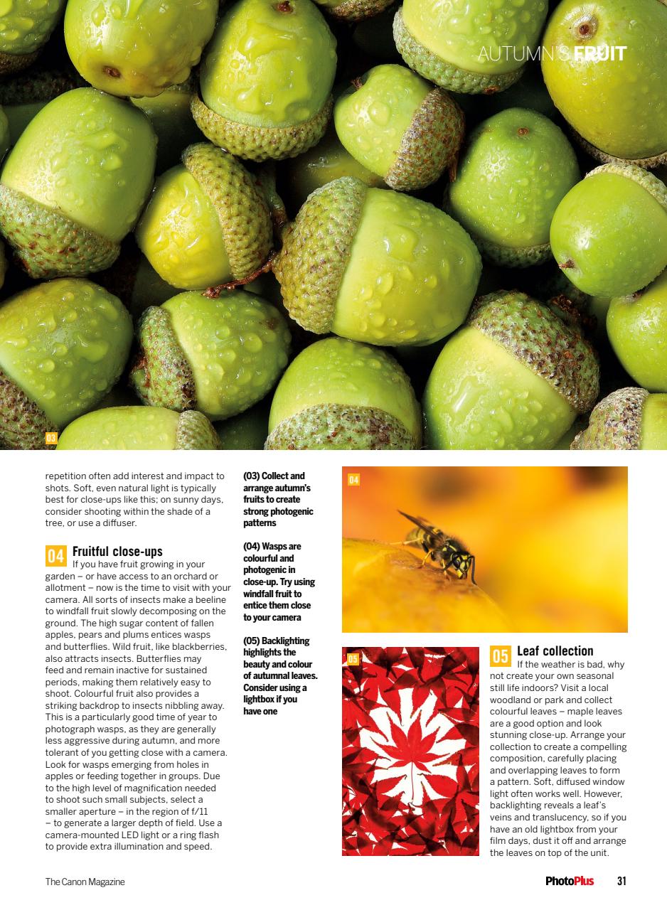 PhotoPlus Preview Pages