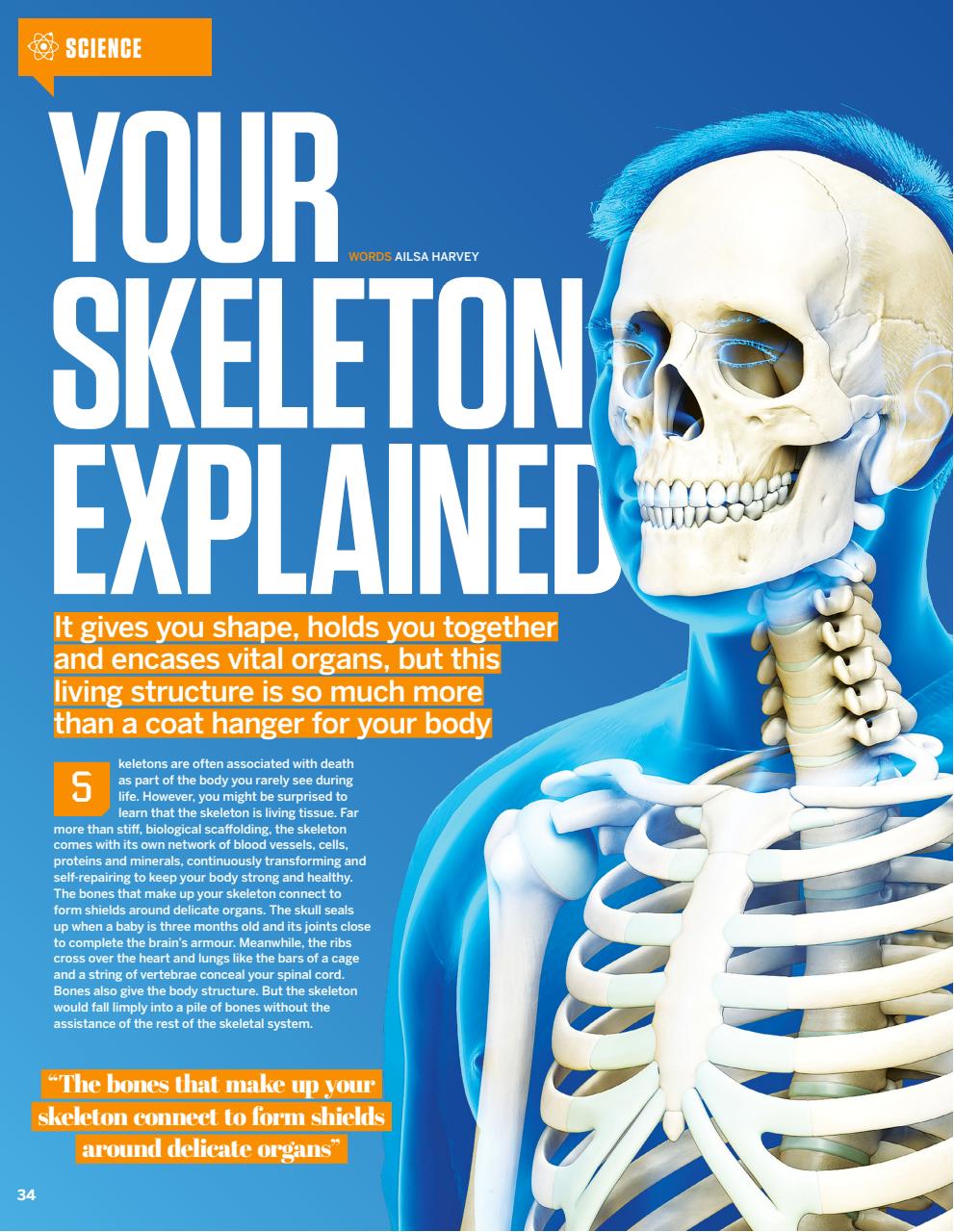 How It Works Preview Pages