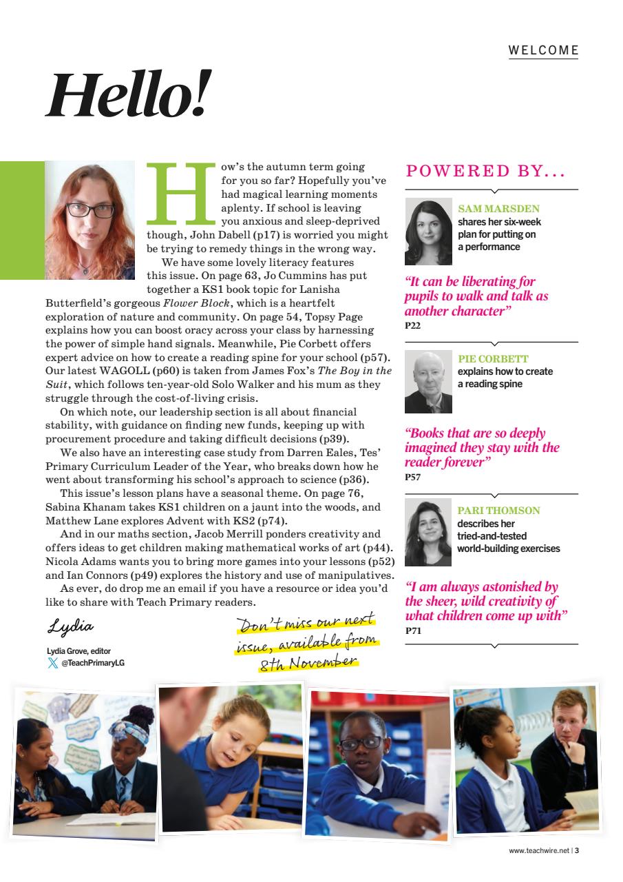 Teach Primary Preview Pages