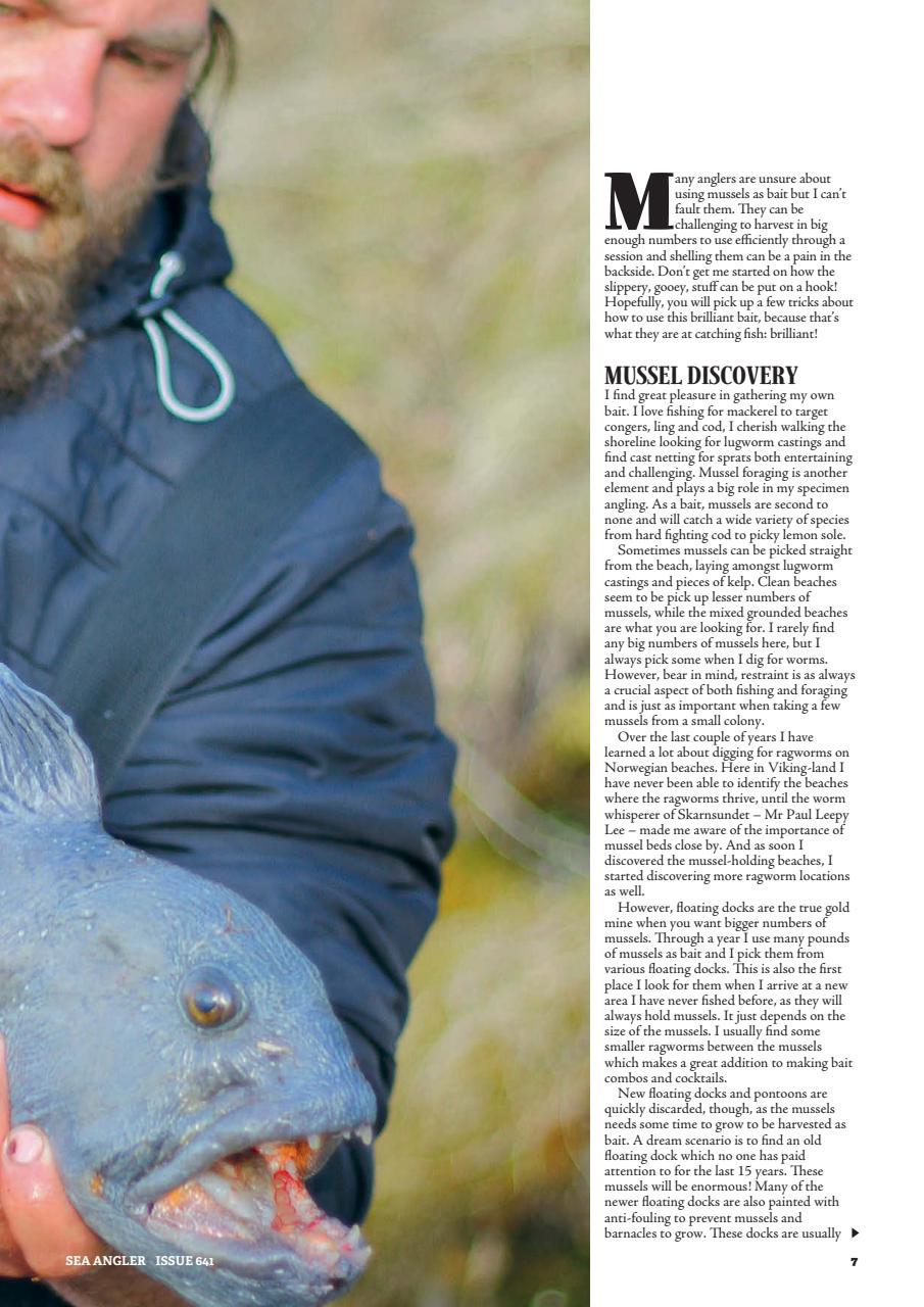 Sea Angler Preview Pages