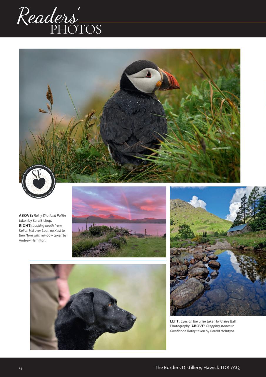 Scottish Field Preview Pages