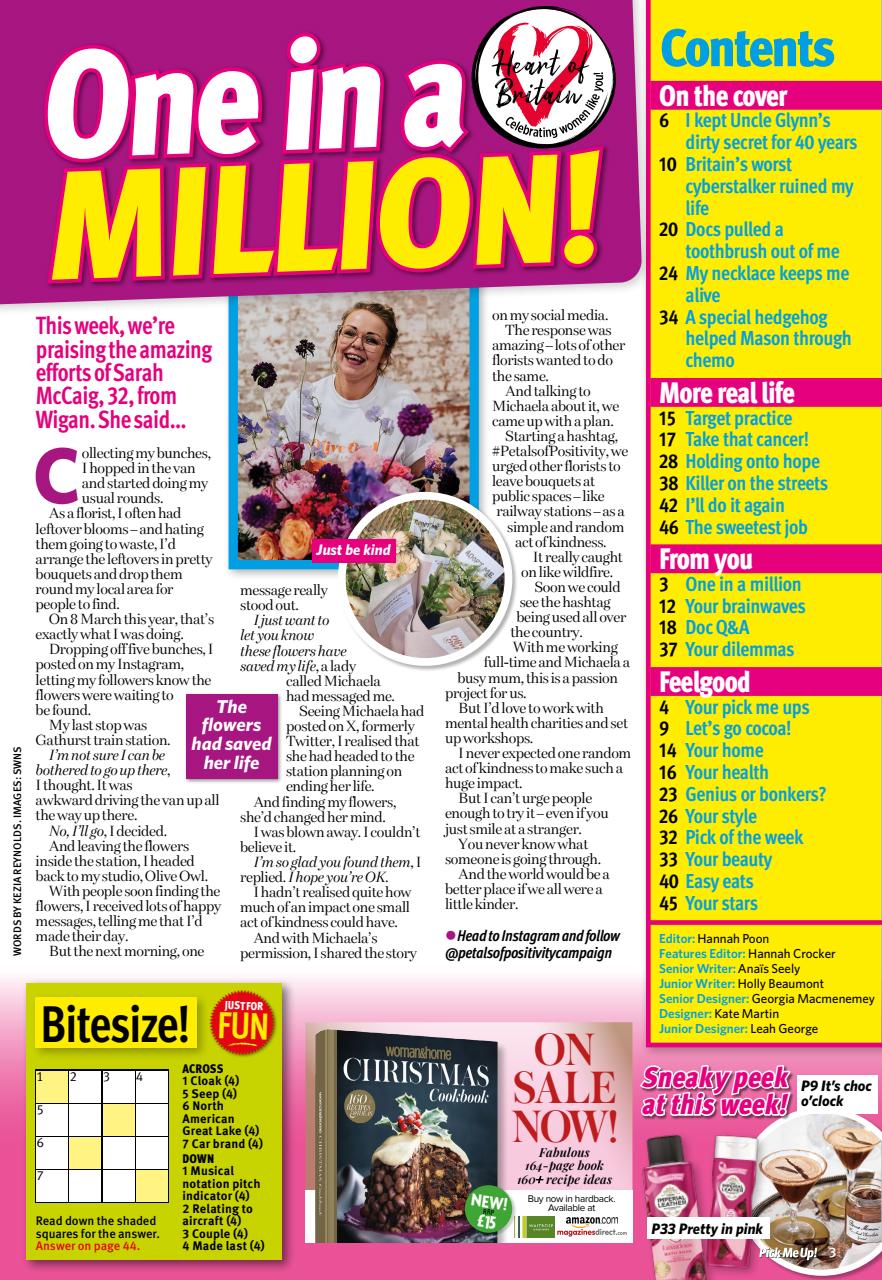 Pick Me Up Preview Pages