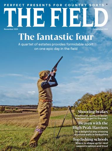 The Field issue 