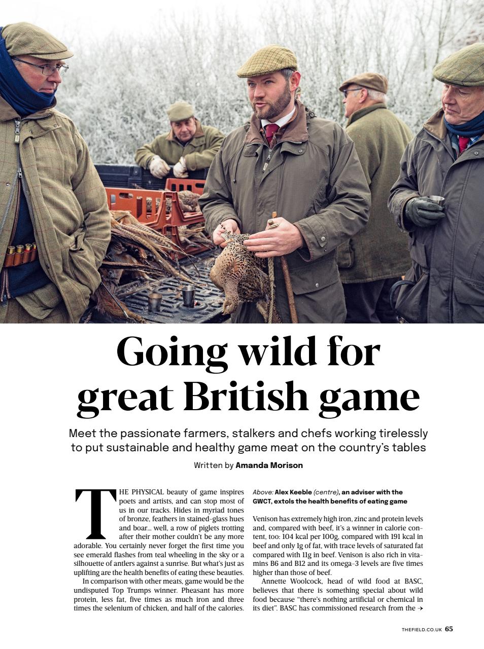 The Field Preview Pages