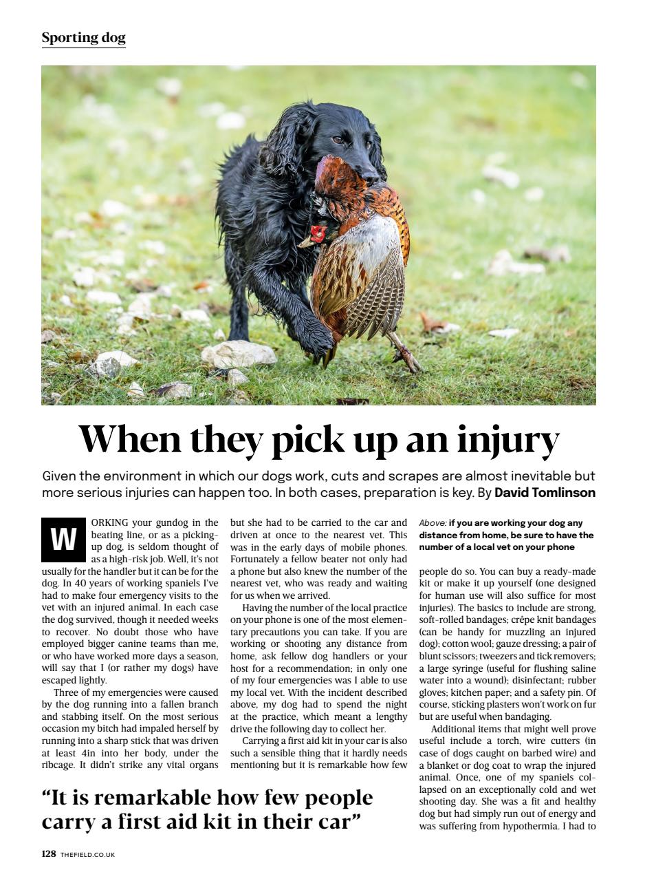 The Field Preview Pages