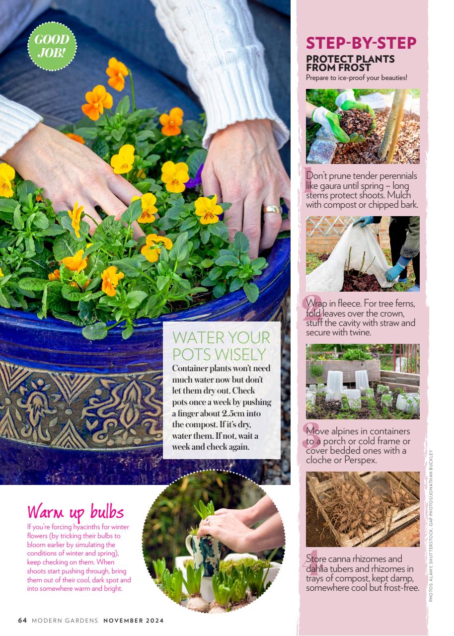 Modern Gardens Preview Pages