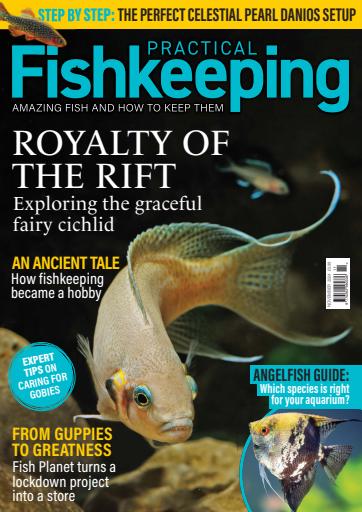 Practical Fishkeeping issue 