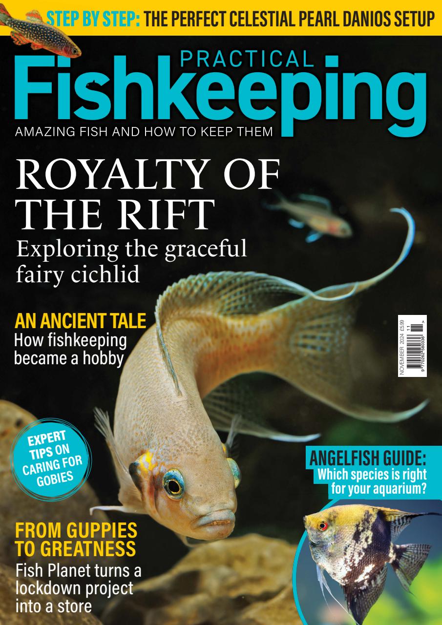Practical Fishkeeping Preview Pages