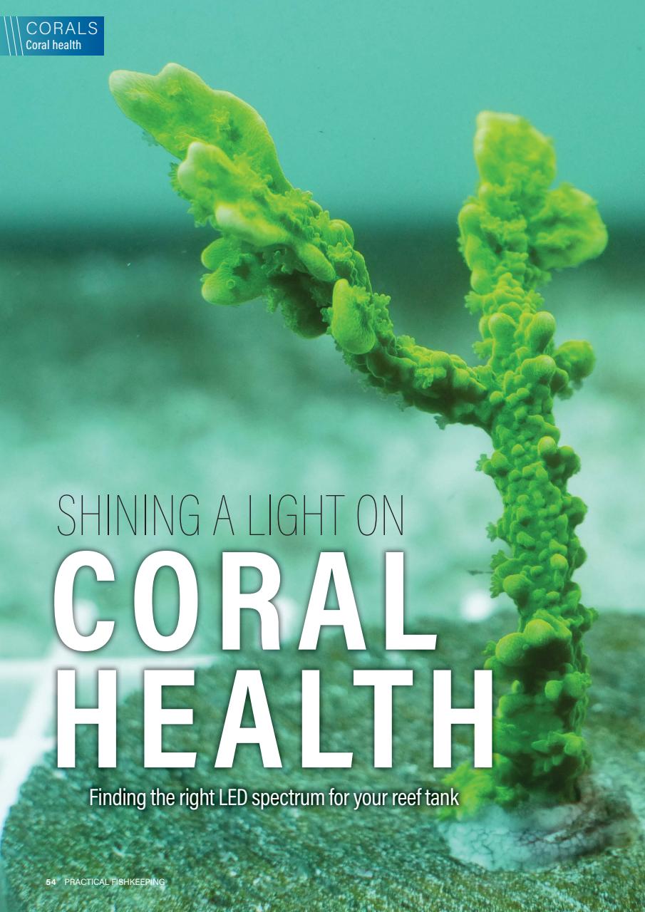 Practical Fishkeeping Preview Pages